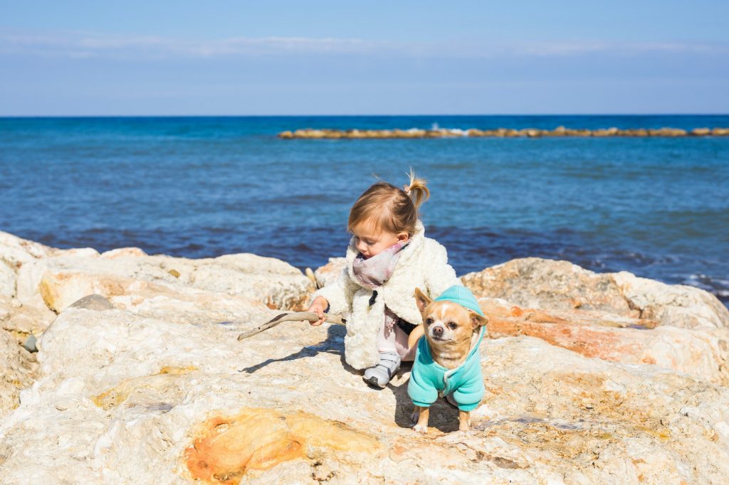 Child with little dog