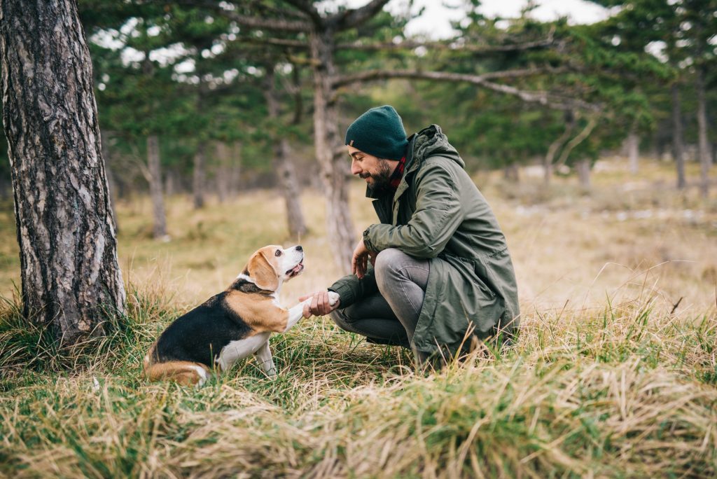 Man and his dog